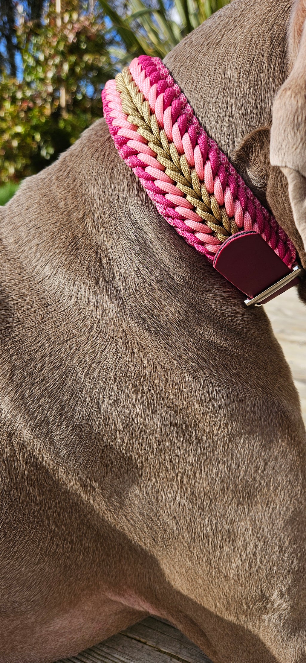 LA FAMILLE🤩🫶💞