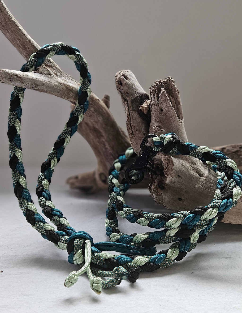 LES LAISSES TRESSÉES