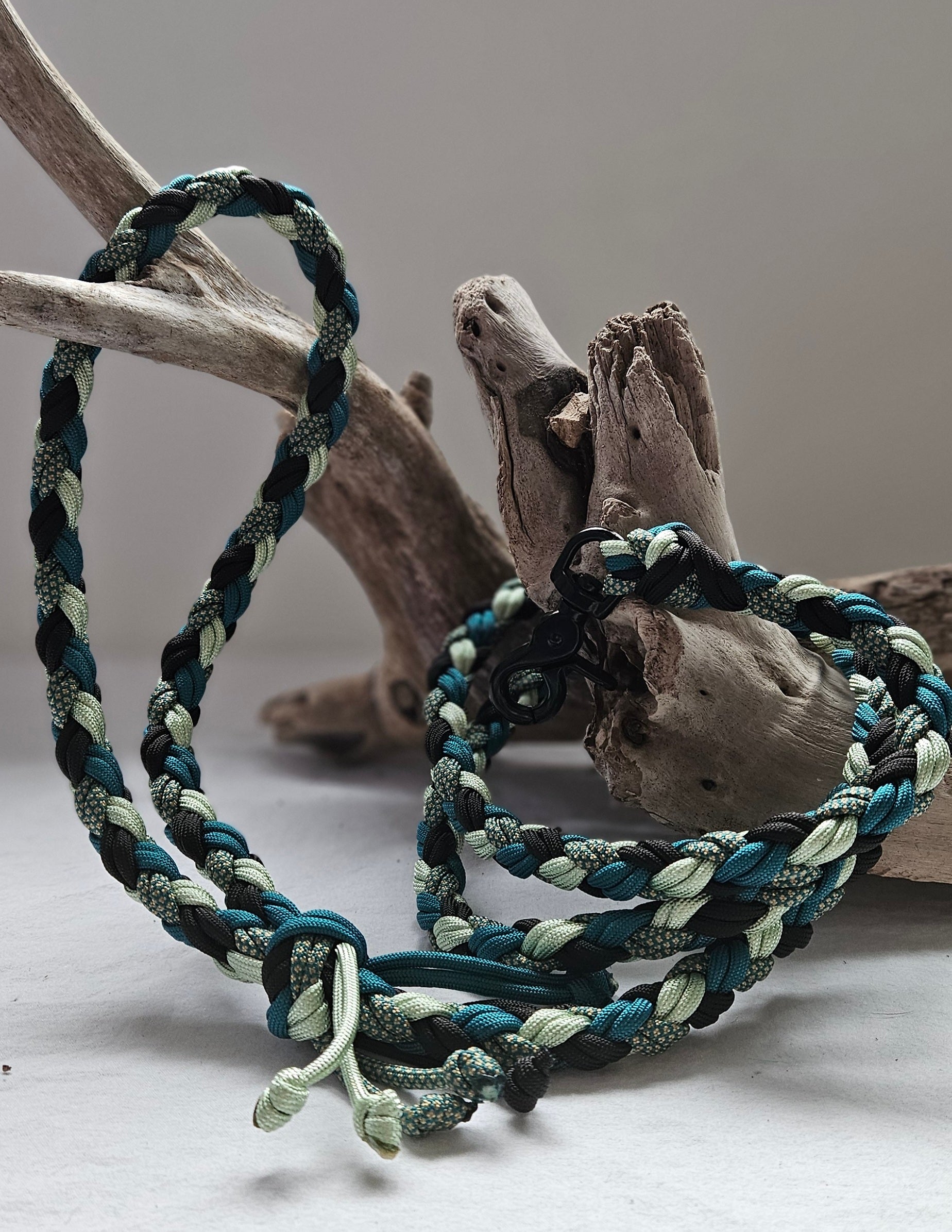 LES LAISSES TRESSÉES