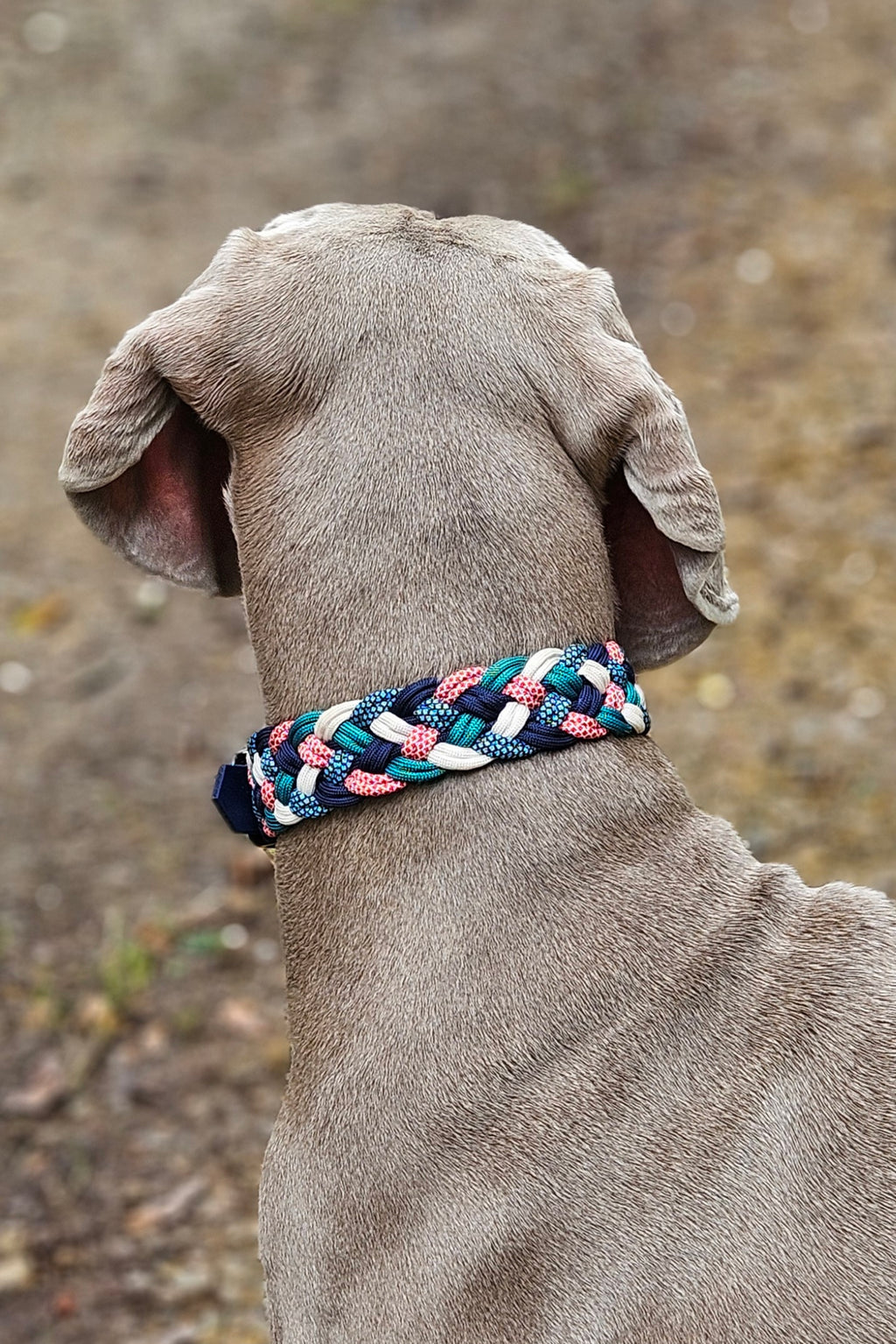 LA FAMILLE🤩🫶💞