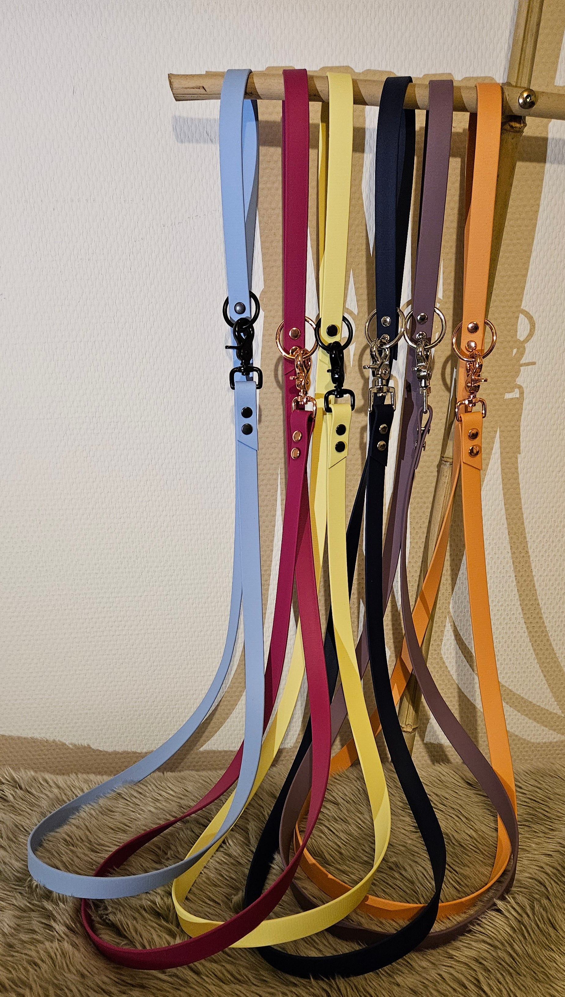 LES LAISSES BIOTHANE