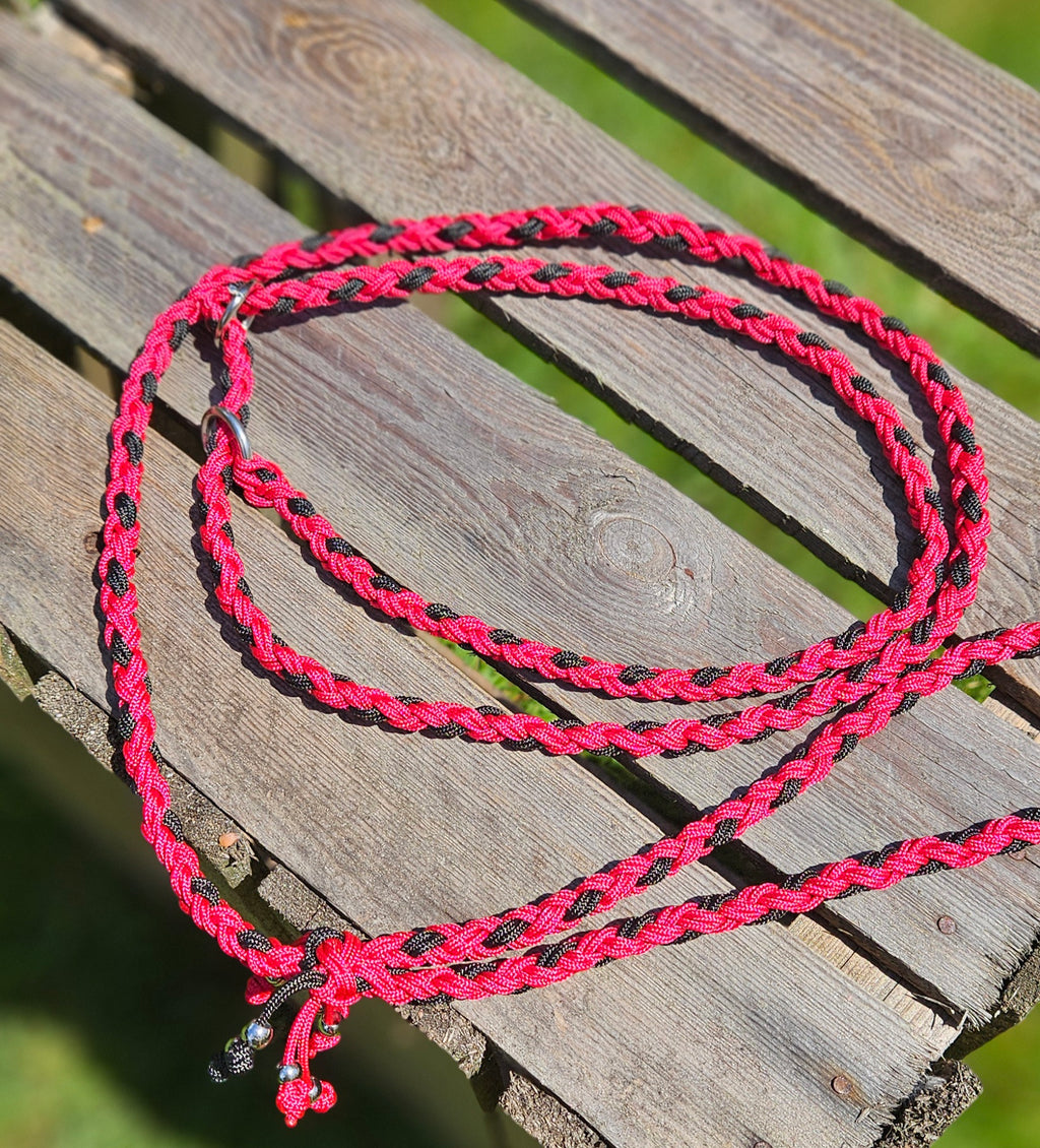 LES LAISSES D'EXPOSITION