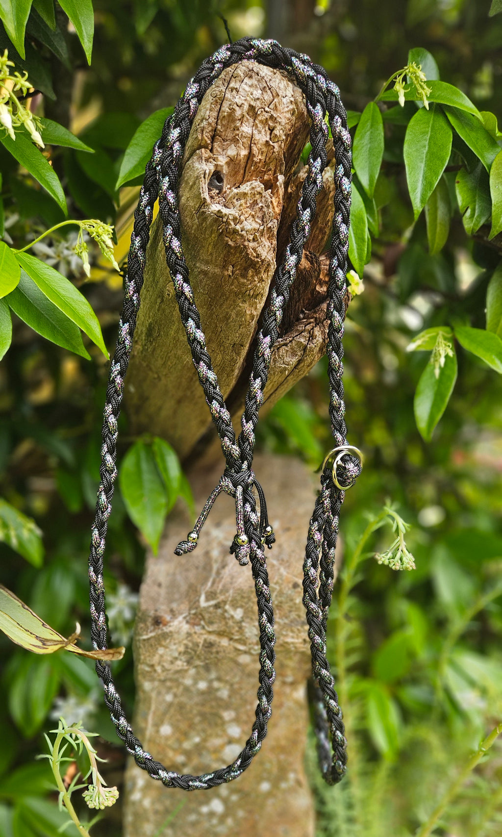 LES LAISSES D'EXPOSITION