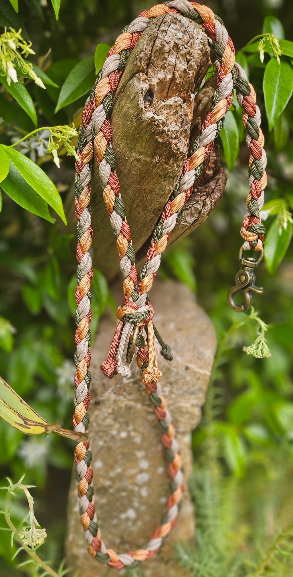 LES LAISSES D'EXPOSITION