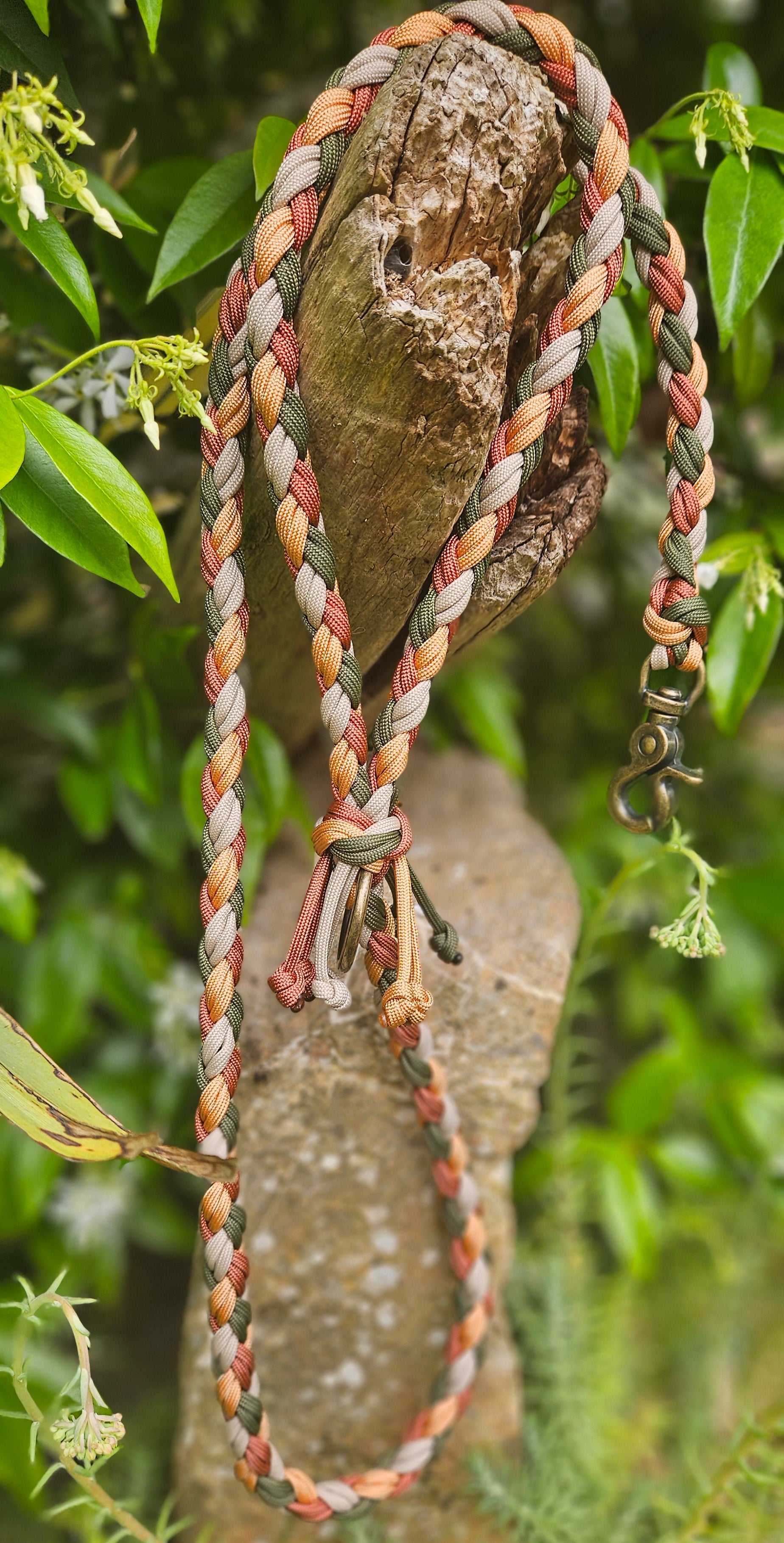 LES LAISSES D'EXPOSITION