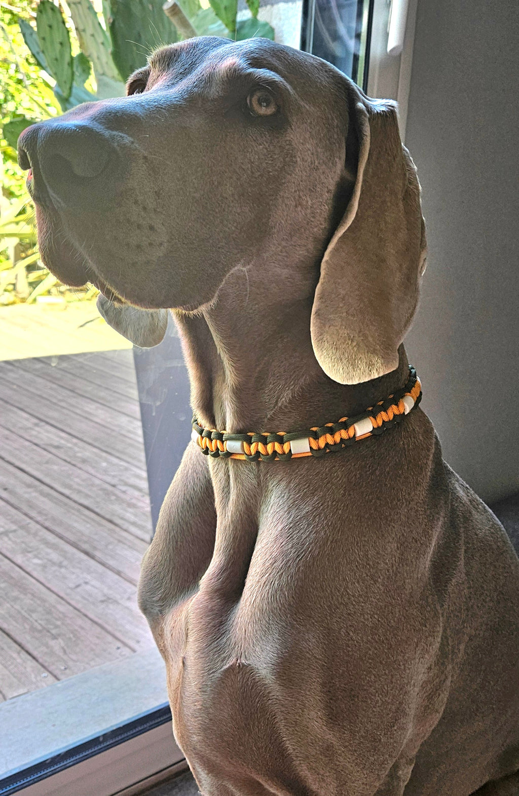 LES ANTI-TIQUES PARACORDE