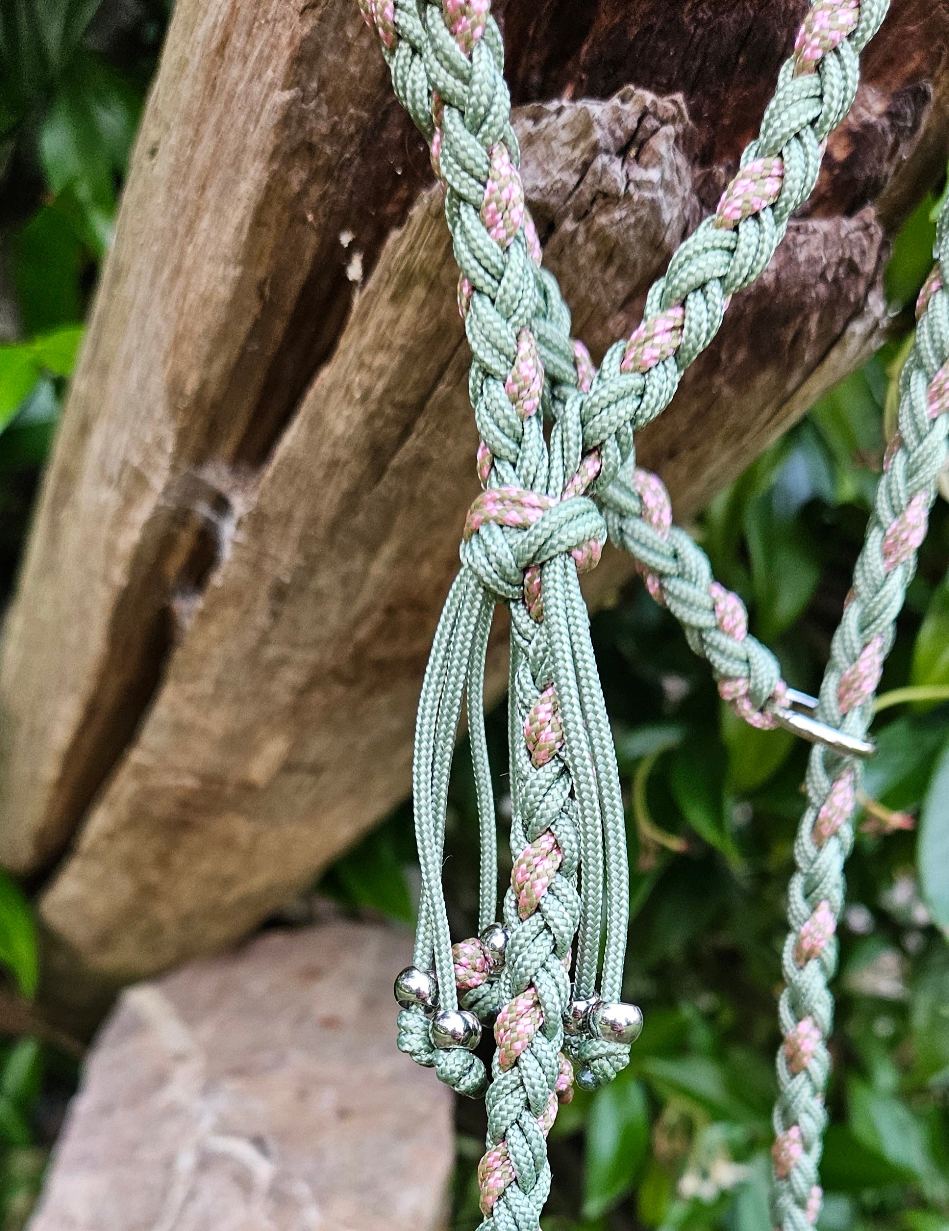 LES LAISSES D'EXPOSITION