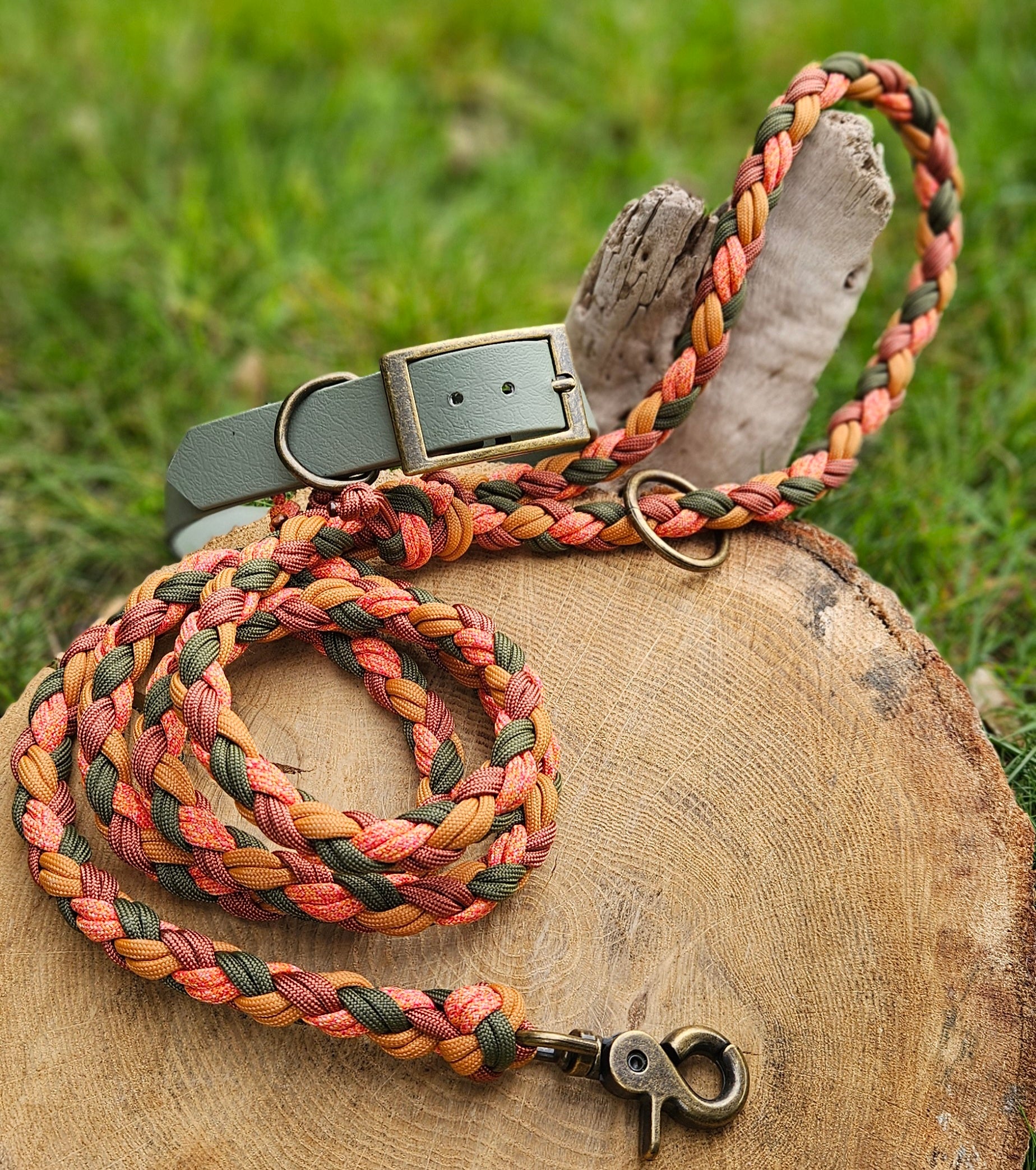 LES LAISSES TRESSÉES