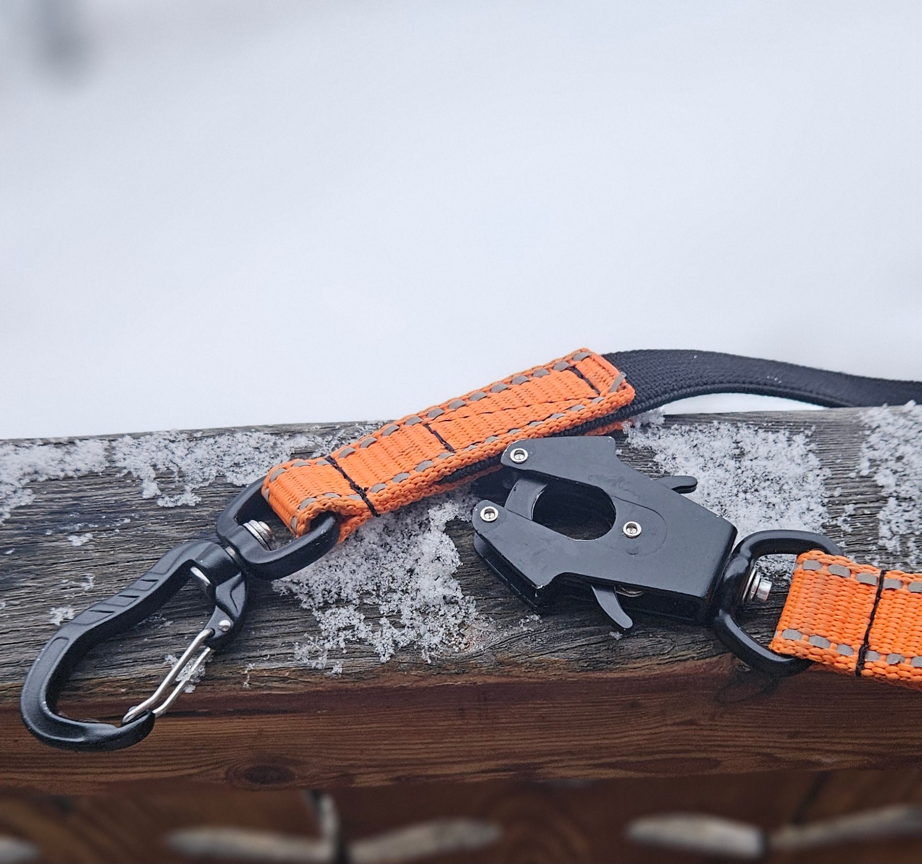 Collection CANI-CROSS