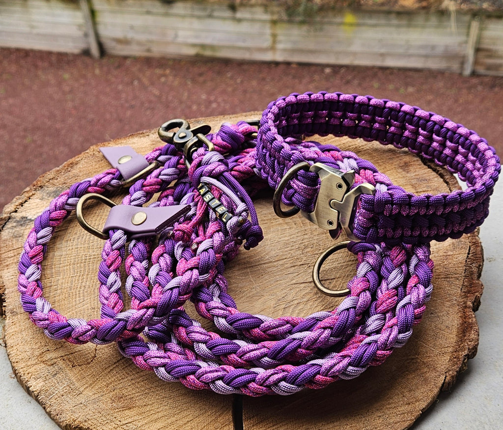 LES LAISSES TRESSÉES