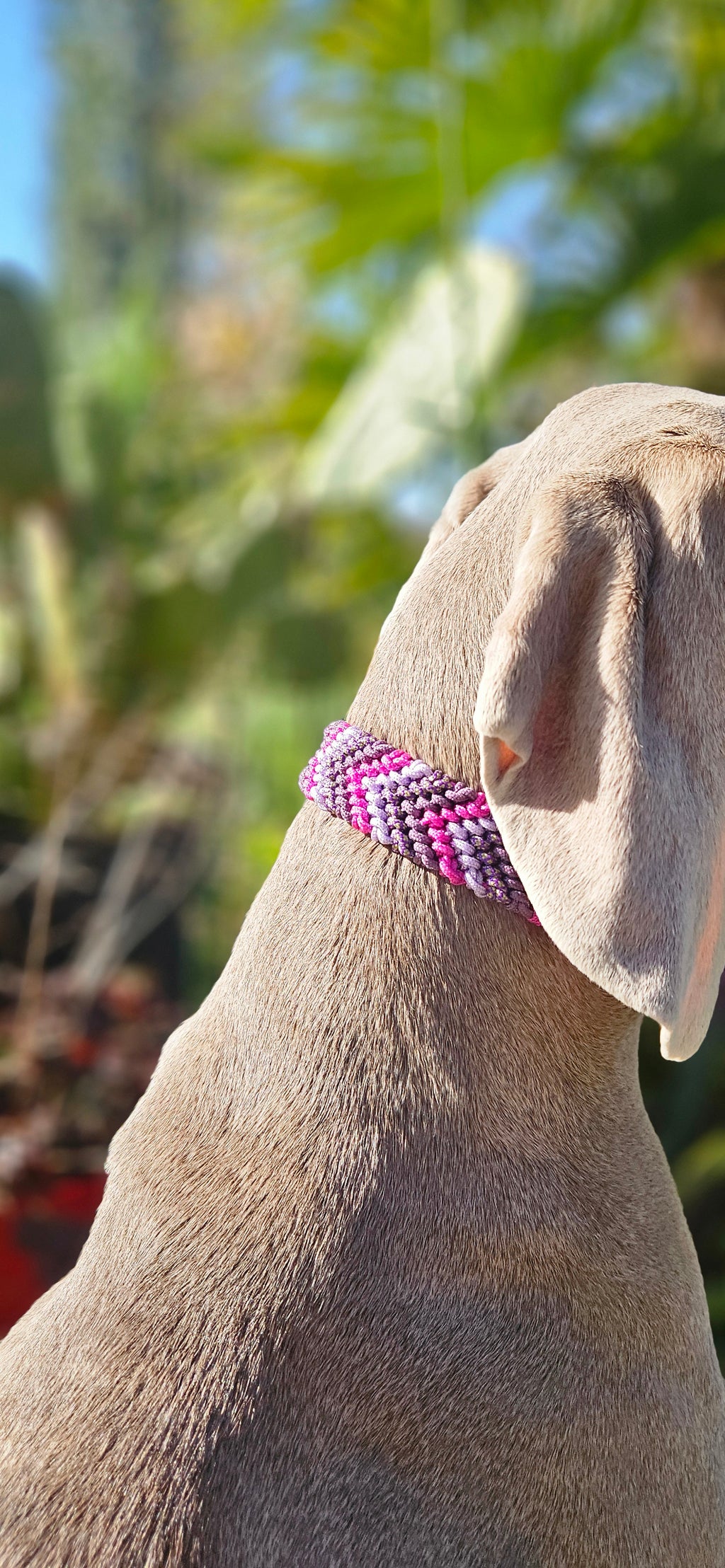 SPRITZ - collier PARACORDE