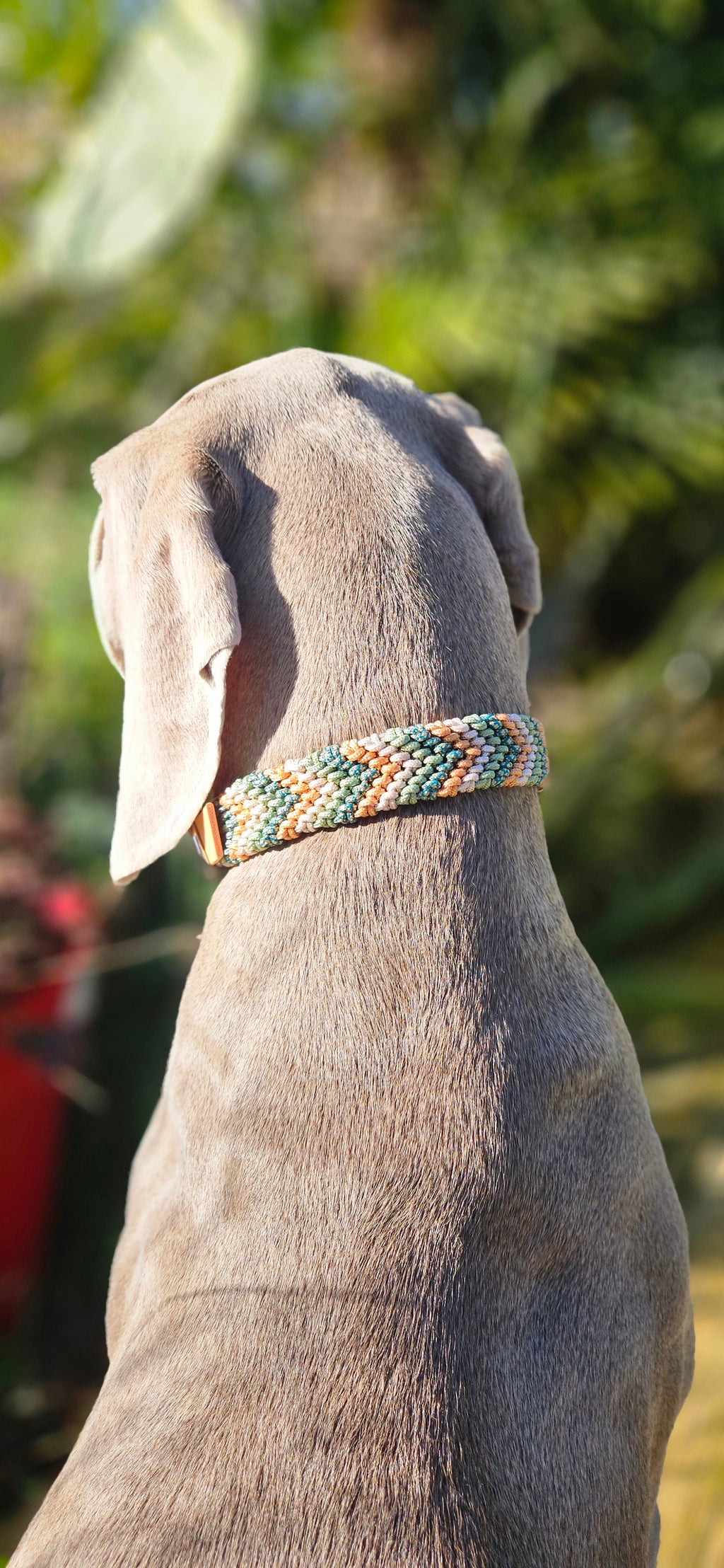 SPRITZ - collier PARACORDE