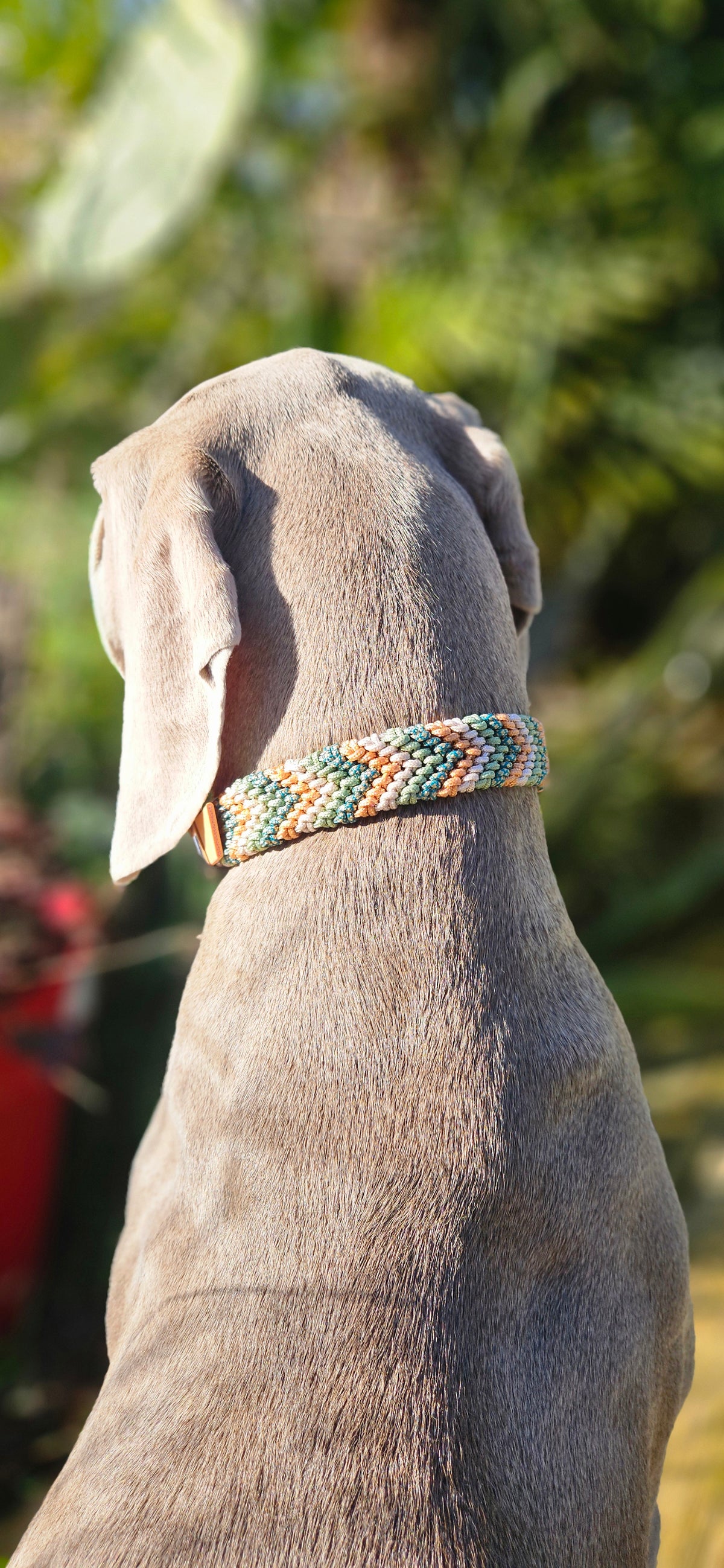 SPRITZ - collier PARACORDE