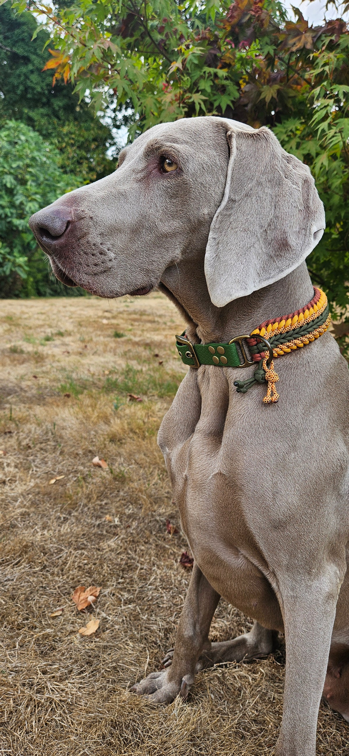 PÉPITE - Collier PARACORDE -Le Best Seller