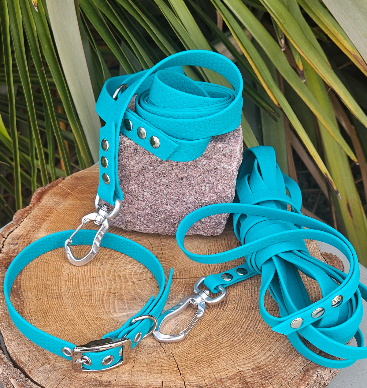 KIT BIENVENUE à la Maison - Collier, Laisse & Longe 5m en Hexasangle