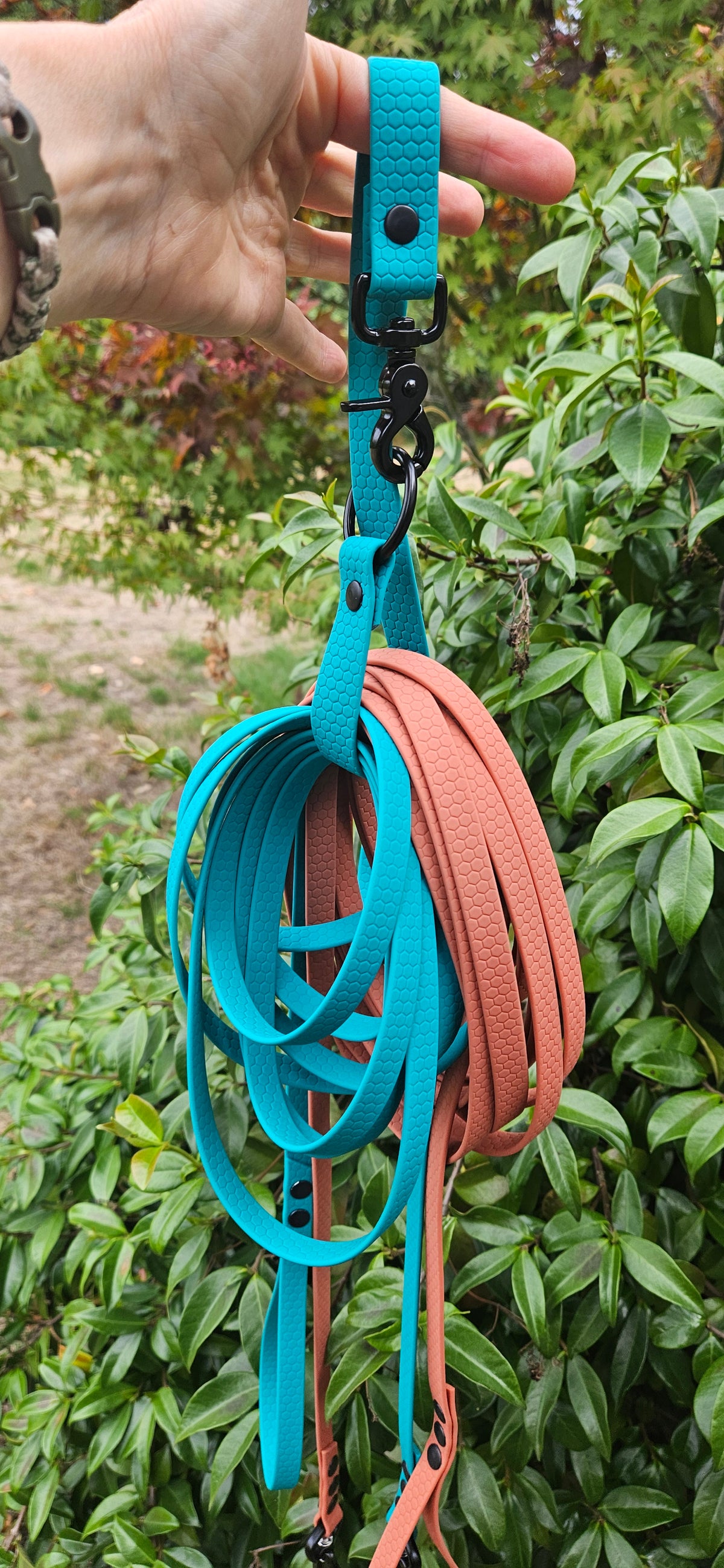 PORTE-LONGE