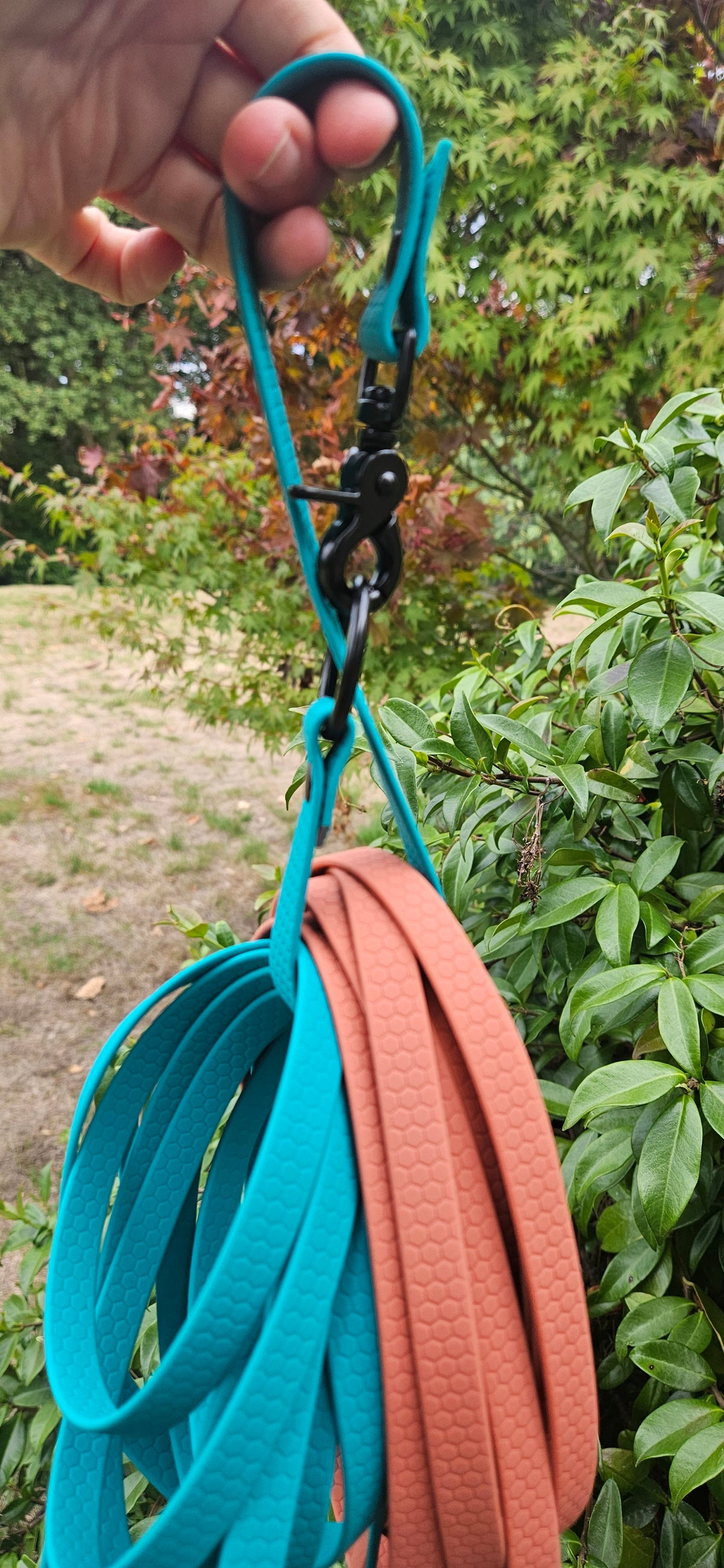 PORTE-LONGE