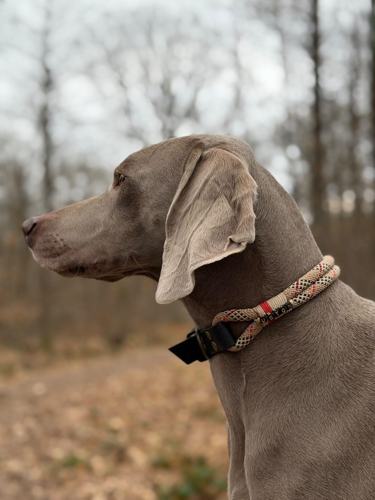 MES AMBASSADEURS🤍💖🩵