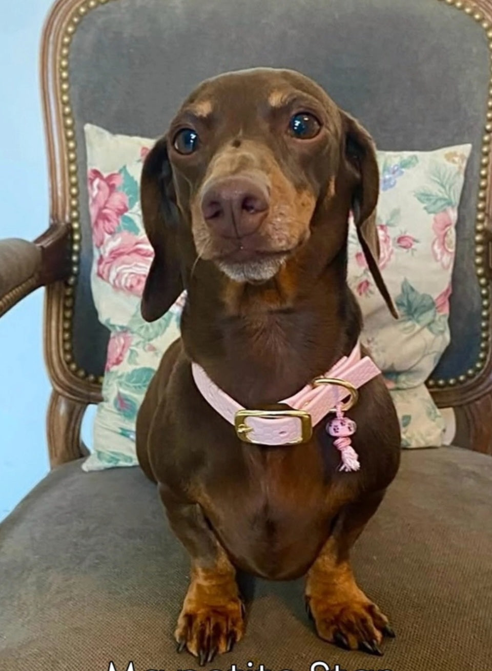 MES AMBASSADEURS 🩷🩵🩵