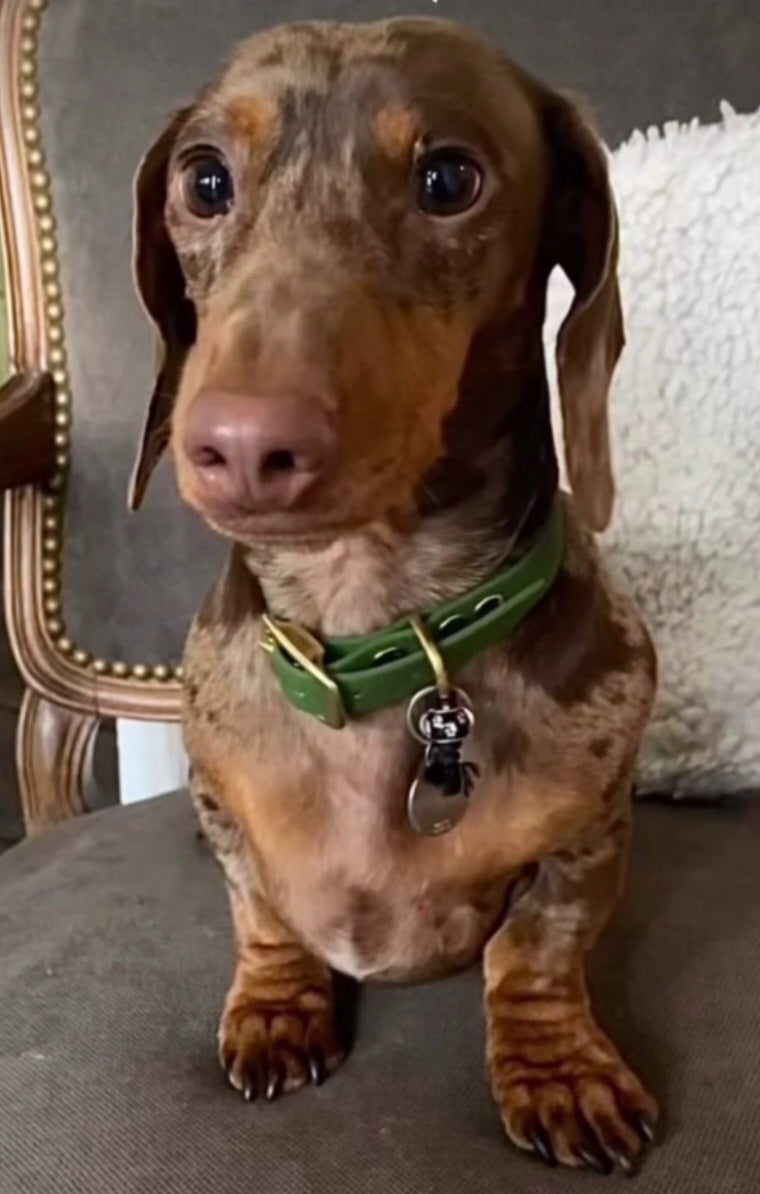 MES AMBASSADEURS 🩷🩵🩵