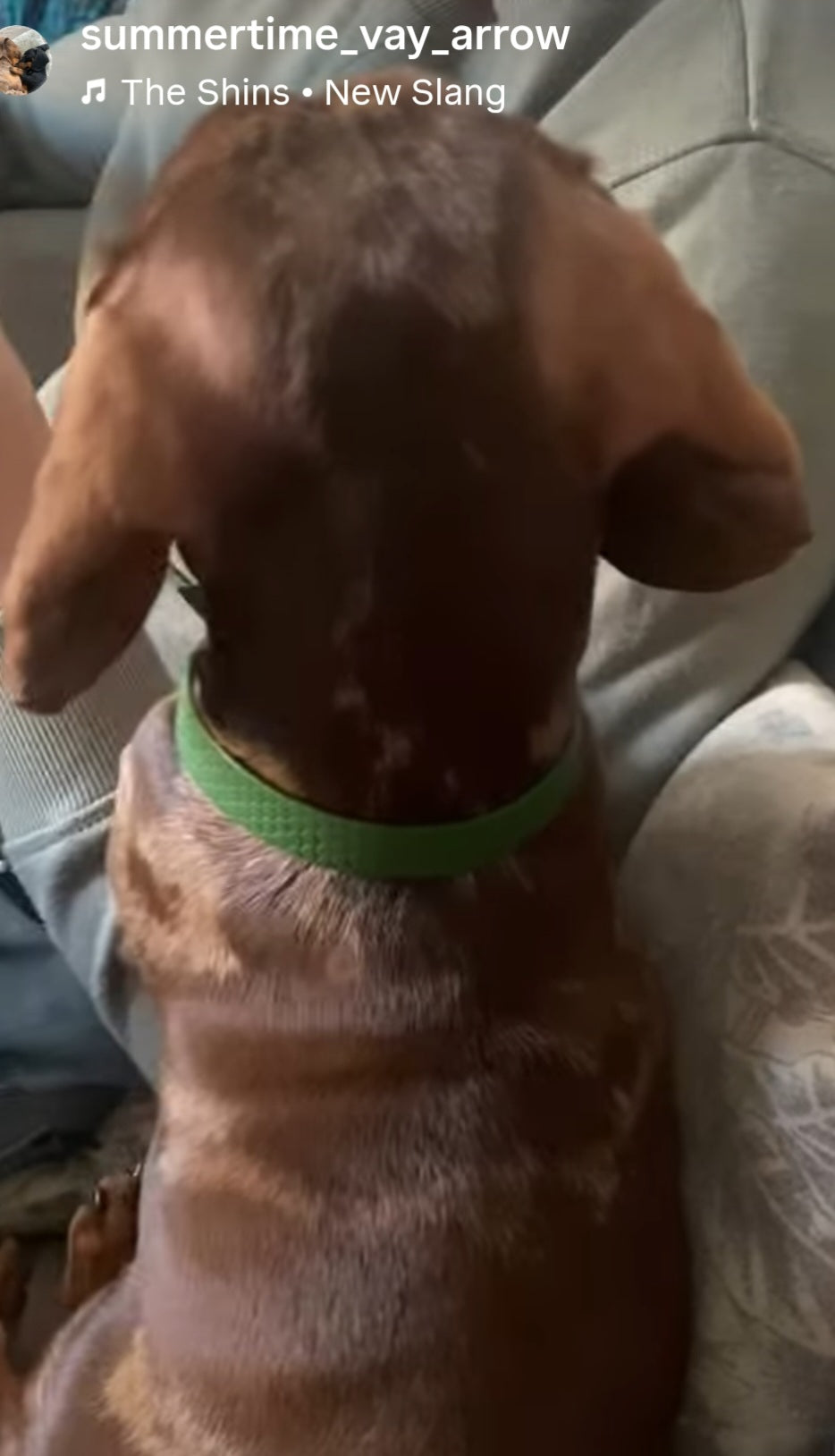 MES AMBASSADEURS 🩷🩵🩵