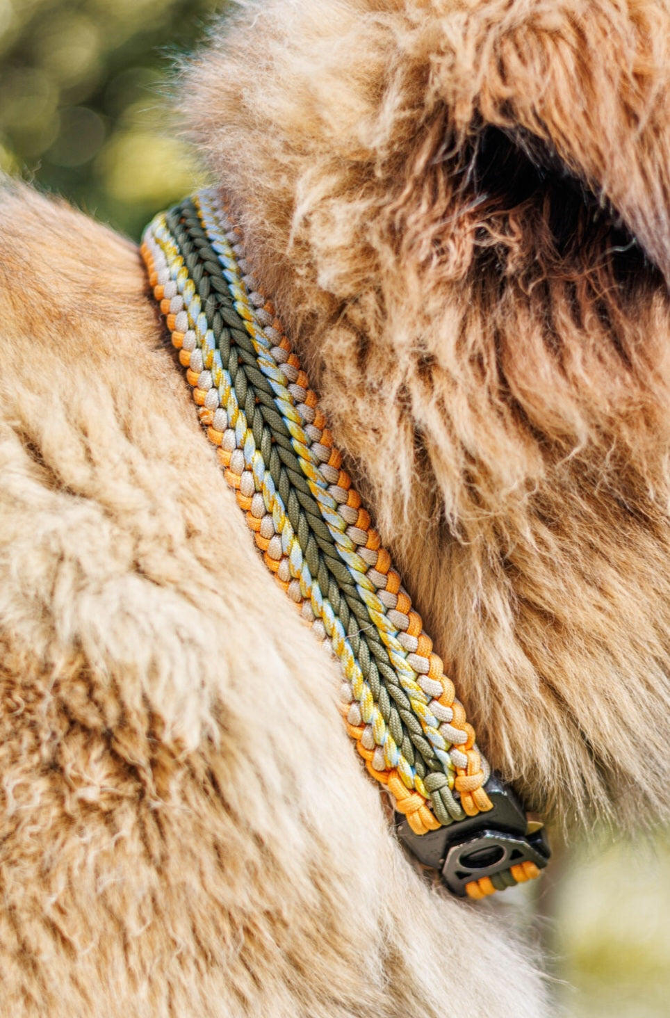 MES AMBASSADEURS💛💛💛