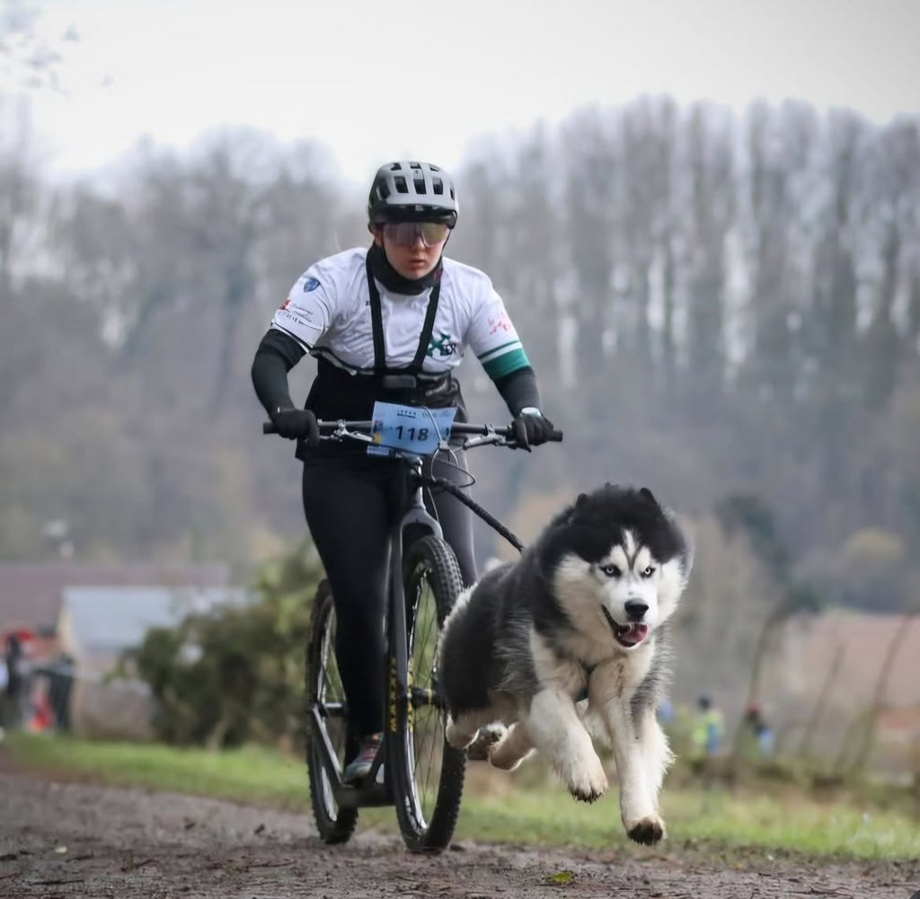 LIGNE CANI-VTT 25mm, labellisée FFSLC
